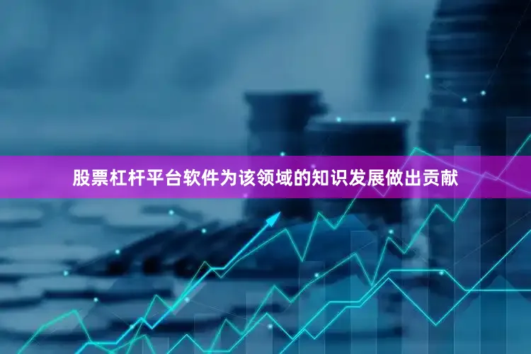 股票杠杆平台软件为该领域的知识发展做出贡献