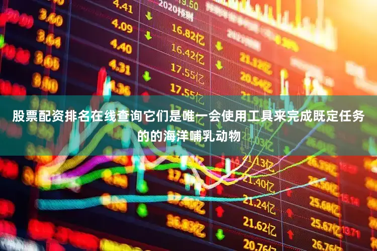股票配资排名在线查询它们是唯一会使用工具来完成既定任务的的海洋哺乳动物