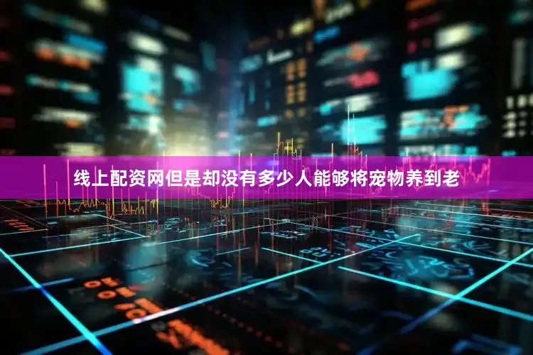线上配资网但是却没有多少人能够将宠物养到老